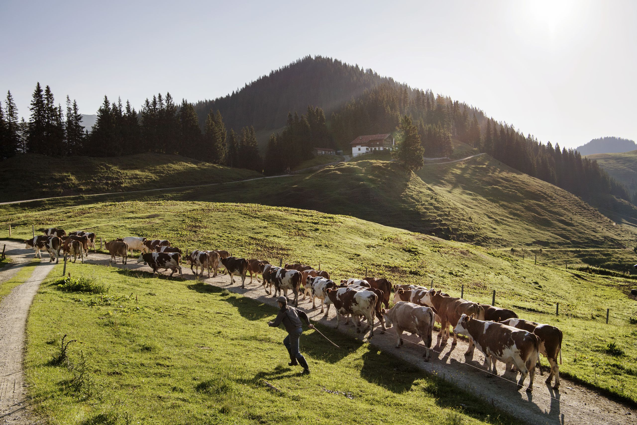 Tirol Werbung