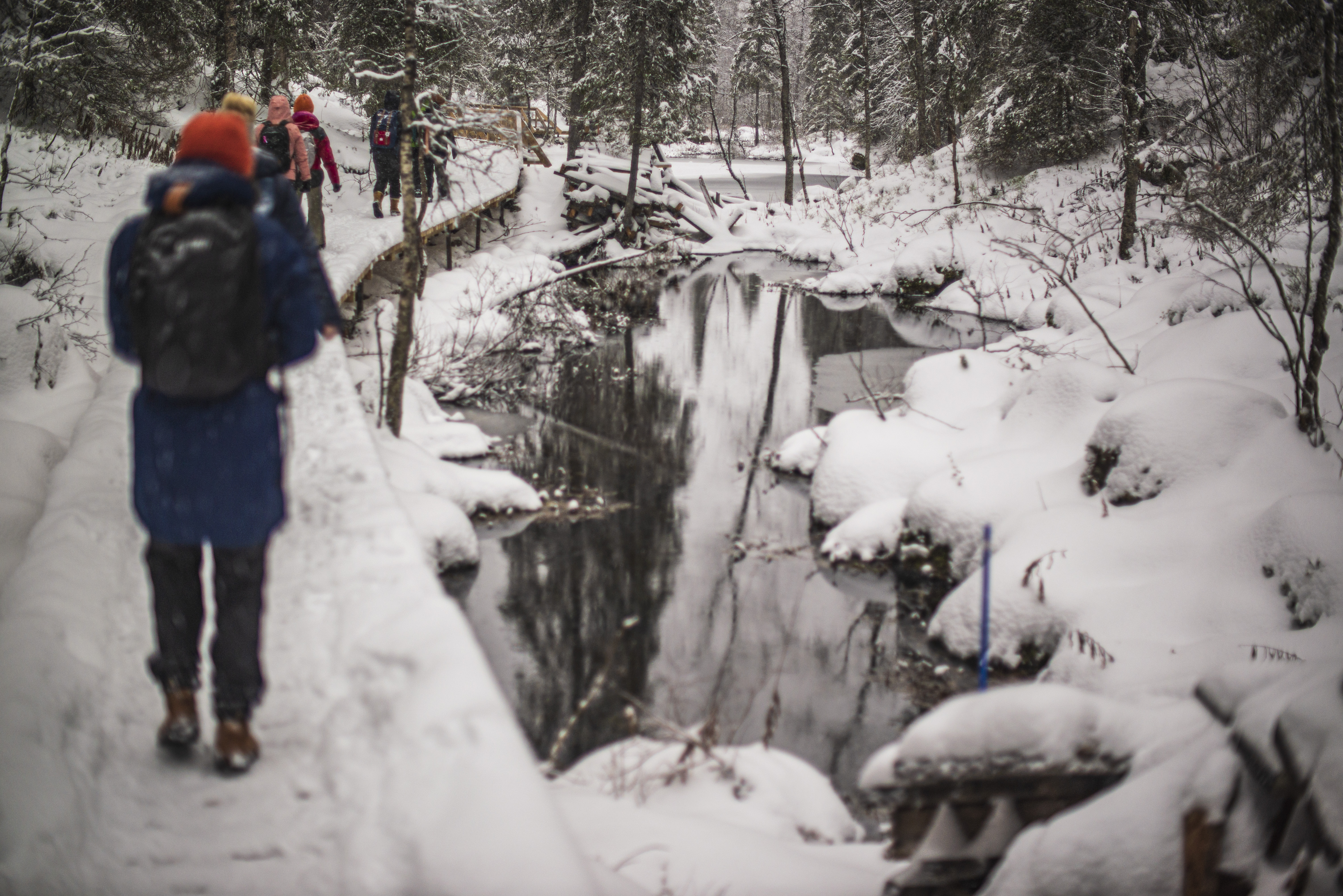 Walking through the snowy landscapes of the Finnish national park with the ILA project group (University of Lapland) © Piotr Damski