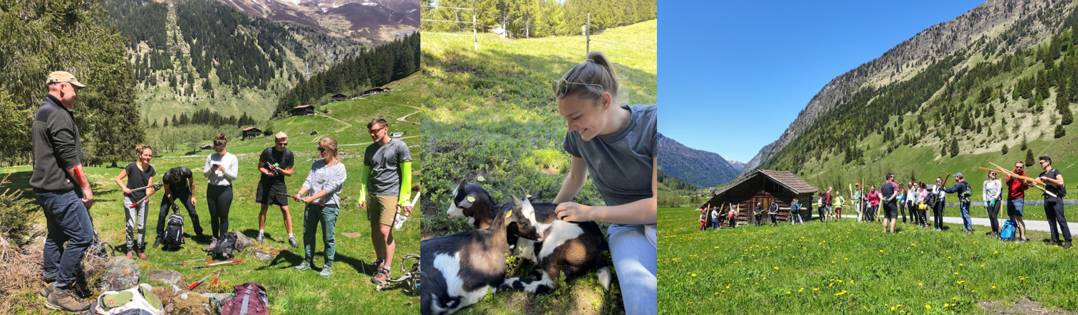 Schule der Alm Valsertal MCI Tourismus 