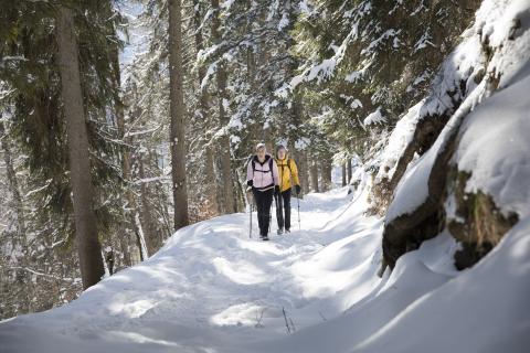 Ritzau Aufstieg, Winterliches Kaisertal, Ebbs ©Tirol Werbung / Soulas Oliver